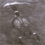 Loon w FISH.jpg